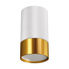 Белый/золотой потолочный светильник STRÜHM, 100x55x55 мм цена и информация | Потолочные светильники | kaup24.ee
