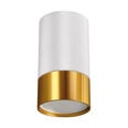 Белый/золотой потолочный светильник STRÜHM, 100x55x55 мм