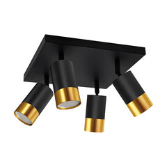 Черный/золотой настенно-потолочный светильник STRÜHM, 160x250x250 мм цена и информация | Потолочные светильники | kaup24.ee