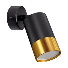 Черно/золотой настенно-потолочный светильник STRÜHM, 170x70x70 мм цена и информация | Потолочные светильники | kaup24.ee