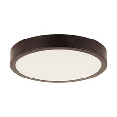 ATUT led c wenge 36w nw 2520 lm laes smd led valgusti STRÜHM 70x480x480mm цена и информация | Потолочные светильники | kaup24.ee