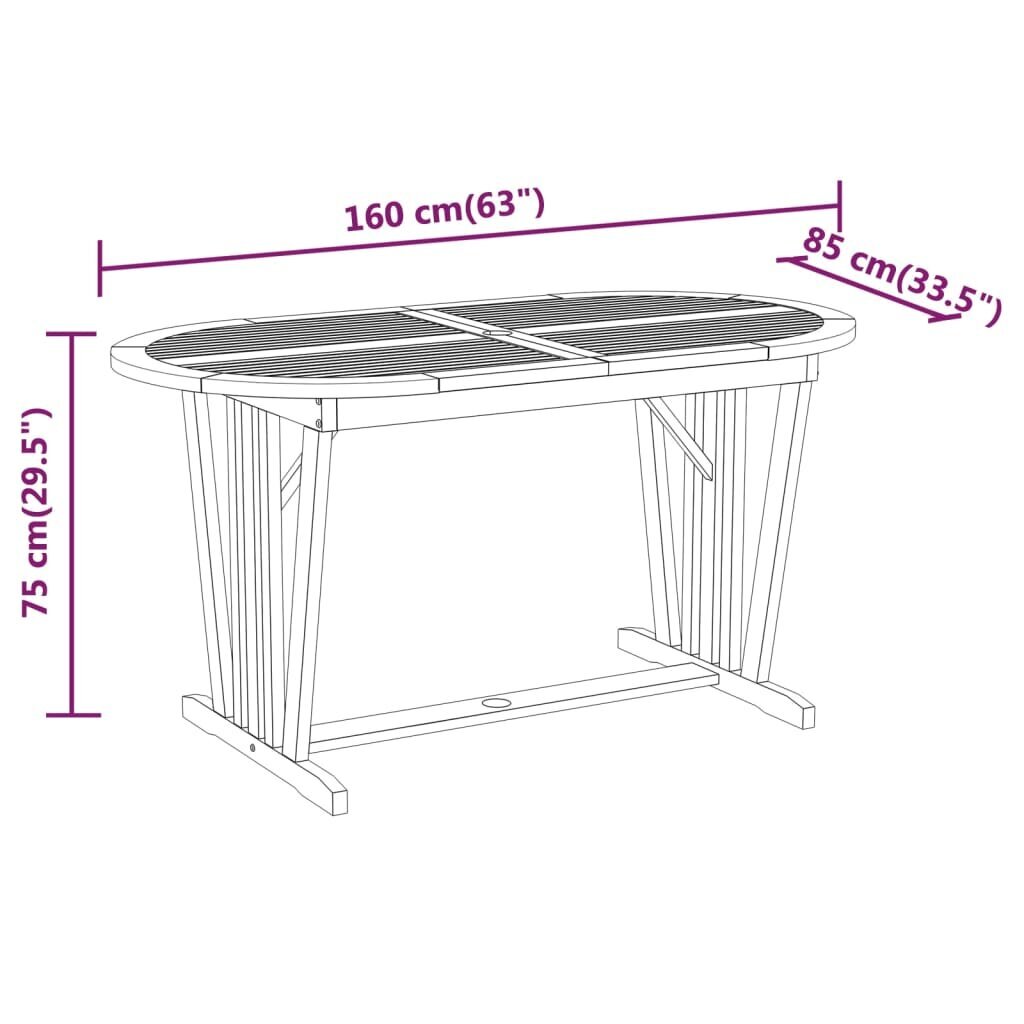 vidaXL aialaud, 160 x 85 x 75 cm, eukalüptipuit цена и информация | Aialauad | kaup24.ee