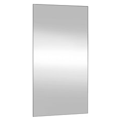 vidaXL seinapeegel, 50 x 100 cm, klaas, ristkülik цена и информация | Зеркала | kaup24.ee