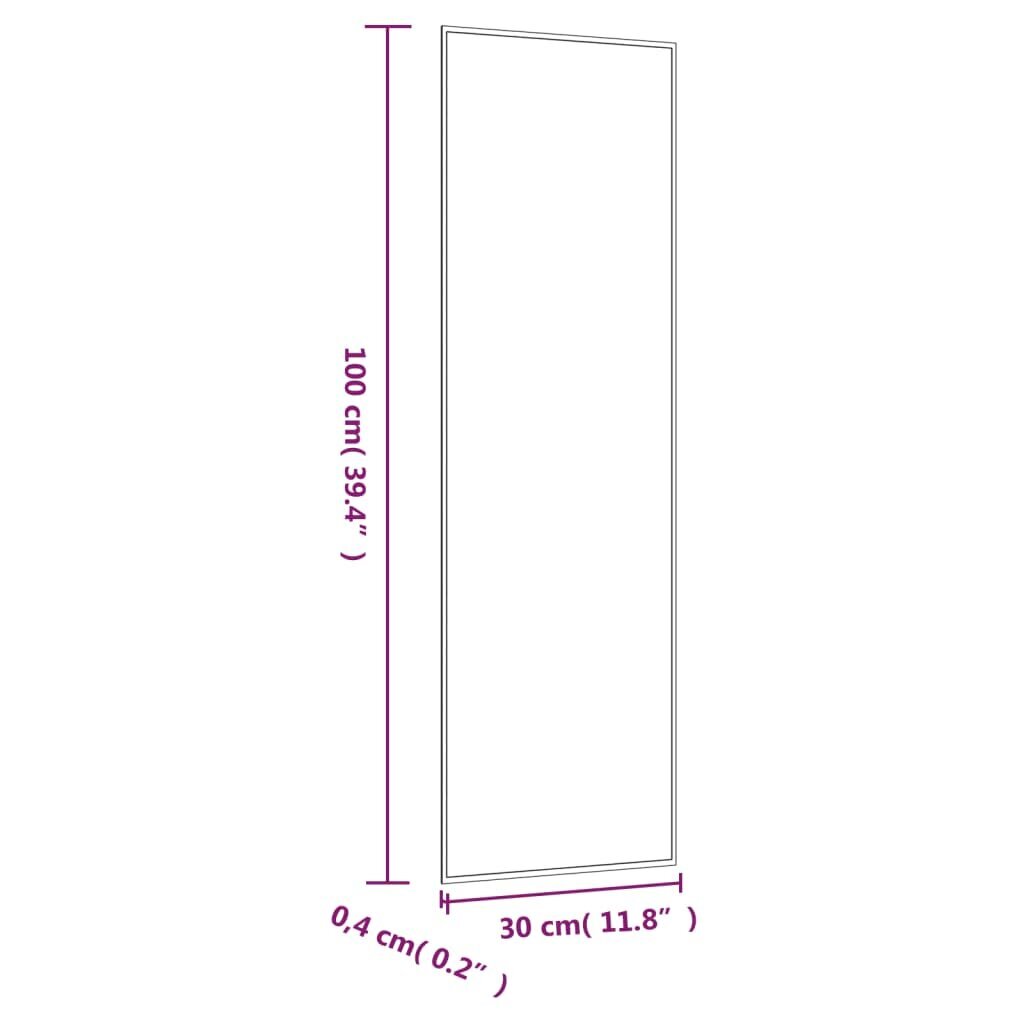 vidaXL seinapeegel, 30 x 100 cm, klaas, ristkülik цена и информация | Peeglid | kaup24.ee