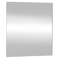 vidaXL seinapeegel, 50 x 60 cm, klaas, ristkülik цена и информация | Подвесные зеркала | kaup24.ee