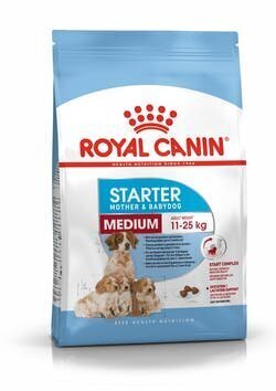 Royal Canin imetavatele emastele koertele Medium Starter Mother&Babydog, 15 kg цена и информация | Kuivtoit koertele | kaup24.ee