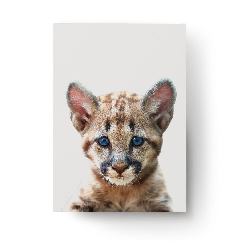 Seinaplakat Little Leopard – 45 x 32 cm hind ja info | Seinapildid | kaup24.ee