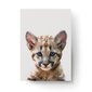 Seinaplakat Little Leopard – 45 x 32 cm hind ja info | Seinapildid | kaup24.ee