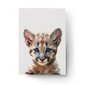 Seinaplakat Little Leopard – 45 x 32 cm цена и информация | Seinapildid | kaup24.ee