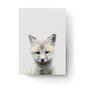 Seinaplakat Little Fox – 45 x 32 cm hind ja info | Seinapildid | kaup24.ee