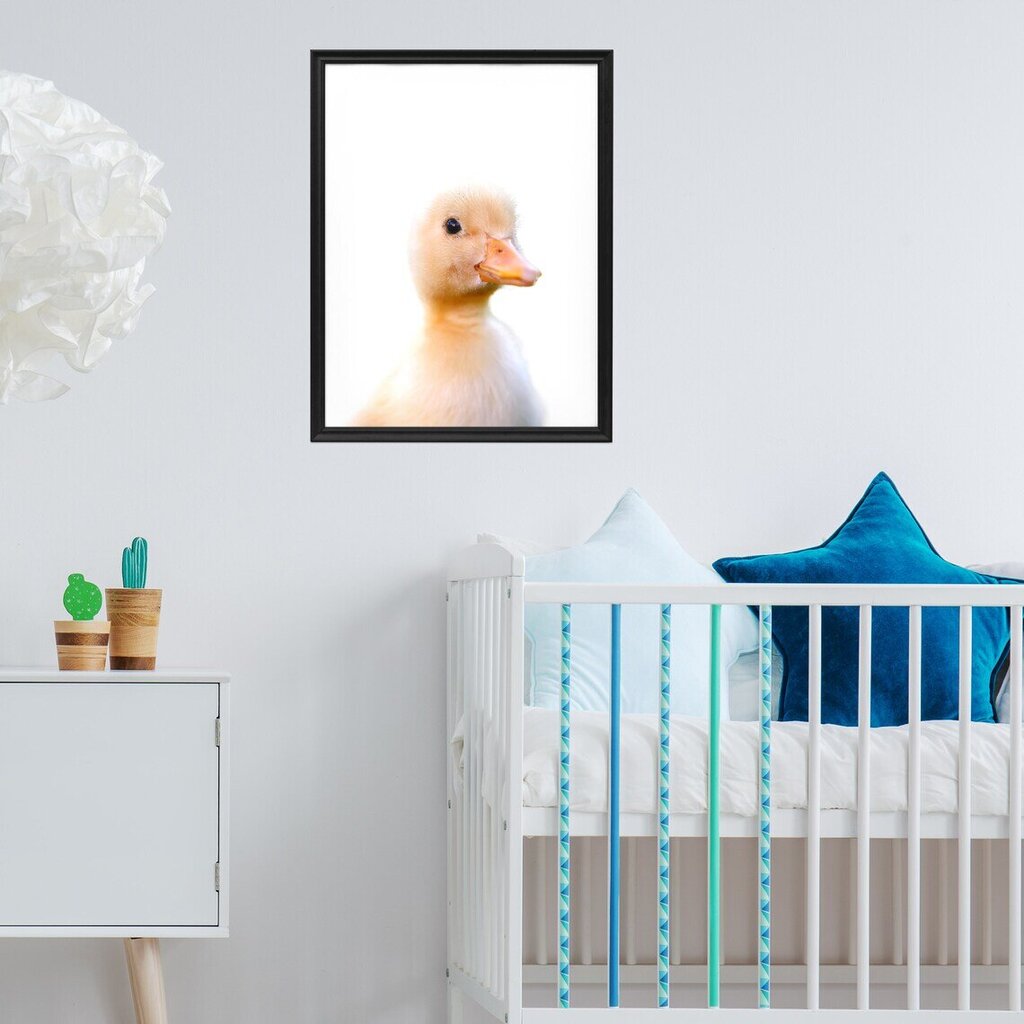 Seinaplakat Little Duck – 45 x 32 cm цена и информация | Seinapildid | kaup24.ee