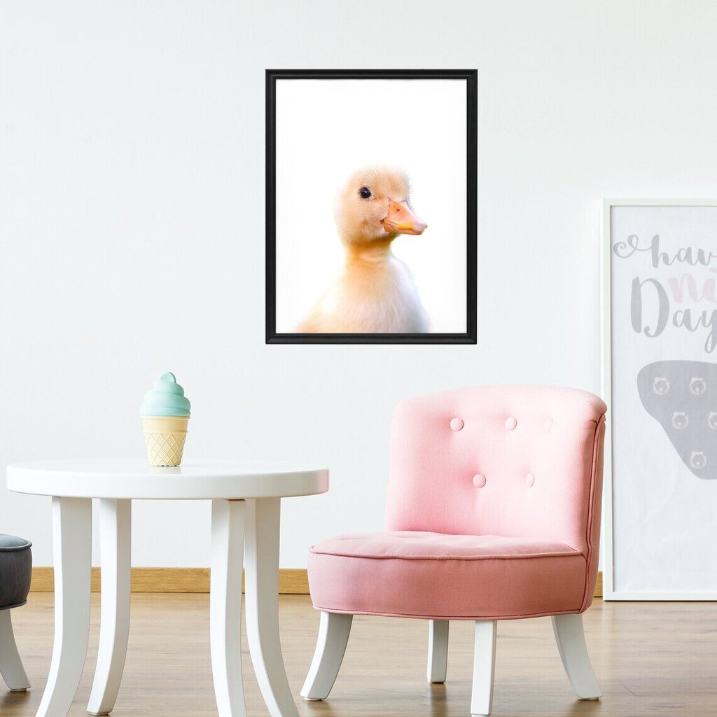 Seinaplakat Little Duck – 45 x 32 cm цена и информация | Seinapildid | kaup24.ee