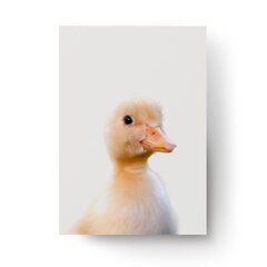 Seinaplakat Little Duck – 45 x 32 cm цена и информация | Картины, живопись | kaup24.ee