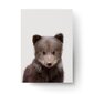 Seinaplakat Little Bear – 45 x 32 cm hind ja info | Seinapildid | kaup24.ee