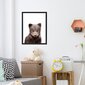 Seinaplakat Little Bear – 45 x 32 cm hind ja info | Seinapildid | kaup24.ee