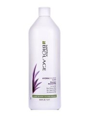 Niisutav šampoon Matrix Biolage Hydrasource 1000 ml hind ja info | Šampoonid | kaup24.ee