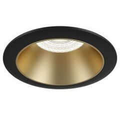 Maytoni Technical Downlight Share DL053-01BMG Черное и матовое золото цена и информация | Потолочные светильники | kaup24.ee