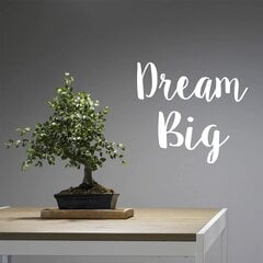 Vinüülkleebis seina- või külmkapikirjaga Dream Big Text Kleebis – 53 x 58 cm цена и информация | Декоративные наклейки | kaup24.ee
