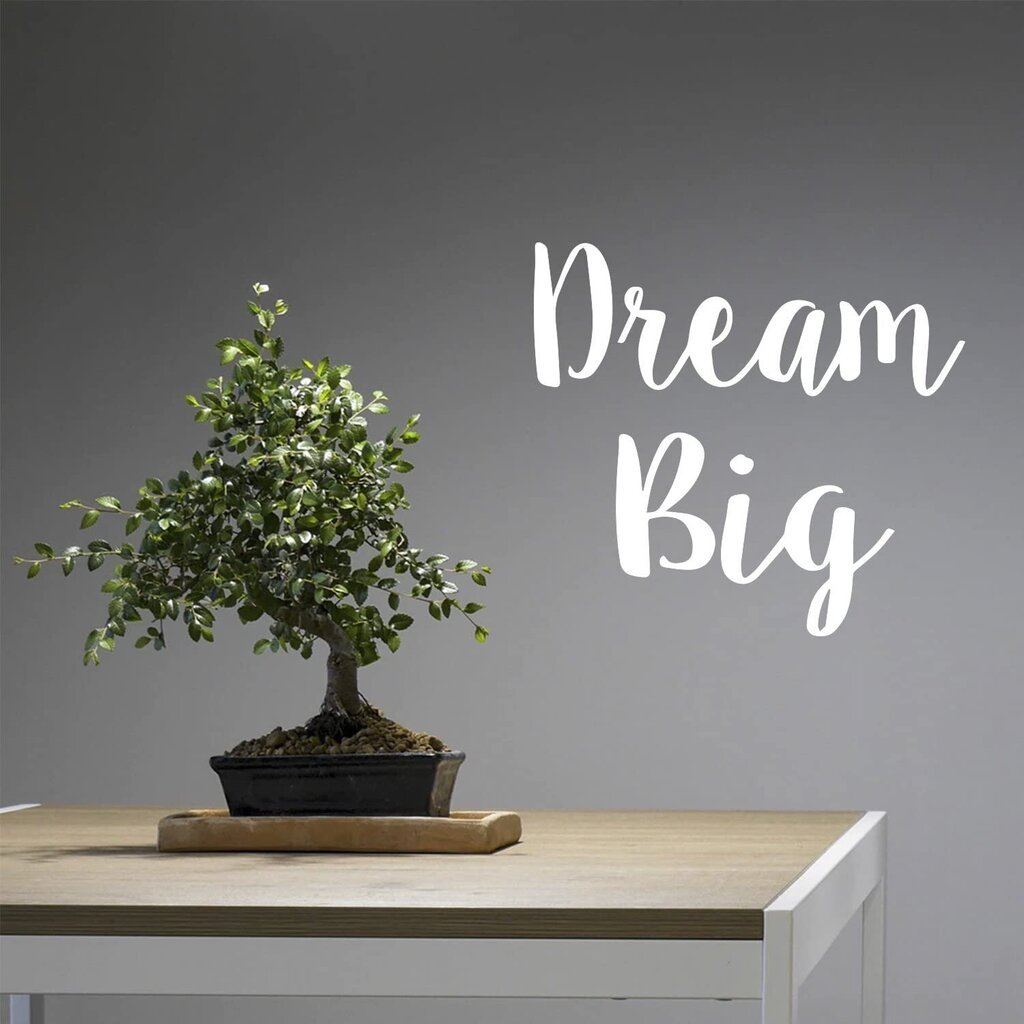 Vinüülkleebis seina- või külmkapikirjaga Dream Big Text Kleebis – 53 x 58 cm hind ja info | Seinakleebised | kaup24.ee