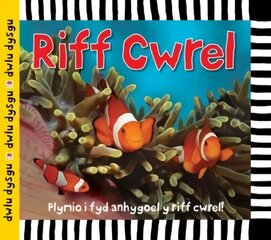 Cyfres Dwlu Dysgu: Riff Cwrel цена и информация | Книги для подростков и молодежи | kaup24.ee