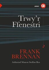 Cyfres Amdani: Trwy'r Ffenestri цена и информация | Пособия по изучению иностранных языков | kaup24.ee