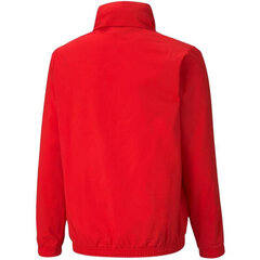 Всепогодная куртка Puma teamRISE 657402 01, красная цена и информация | Куртки для мальчиков | kaup24.ee