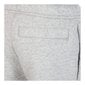 Laste Spordidressi Püksid CFD PANT FLC AJ1549 Nike 063 Hall hind ja info | Meeste püksid | kaup24.ee