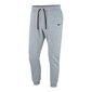 Laste Spordidressi Püksid CFD PANT FLC AJ1549 Nike 063 Hall hind ja info | Meeste püksid | kaup24.ee