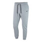 Laste Spordidressi Püksid CFD PANT FLC AJ1549 Nike 063 Hall цена и информация | Meeste püksid | kaup24.ee