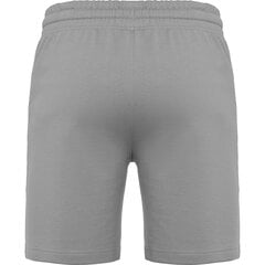 Lühikesed püksid Derby, hallid hind ja info | Meeste lühikesed püksid | kaup24.ee