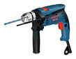 BOSCH haamerpuur 600W GSB 13 RE hind ja info | Akutrellid, kruvikeerajad | kaup24.ee