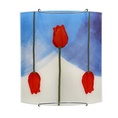 Настенный светильник Candellux Tulipany цена и информация | Настенные светильники | kaup24.ee