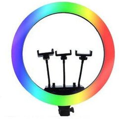 LED Светодиодный кольцевой светильник 38Вт 198led+72 RGB. Ø36 в напольной стойке 200 см. Держатель для телефона ERL014 RGB цена и информация | Осветительное оборудование для фотосъемок | kaup24.ee