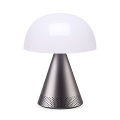 Настольный светильник LexonLH76MX цена и информация | Настольная лампа | kaup24.ee