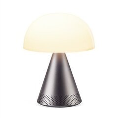Настольный светильник LexonLH76MX цена и информация | Настольная лампа | kaup24.ee