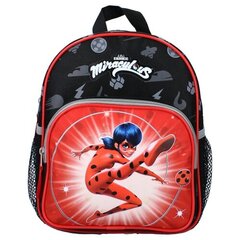 Seljakott Ladybug hind ja info | Spordikotid, seljakotid | kaup24.ee