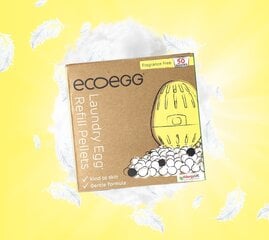 Натуральные гранулы наполнителя без запаха Ecoegg, 50 стирок. цена и информация | Средства для стирки | kaup24.ee