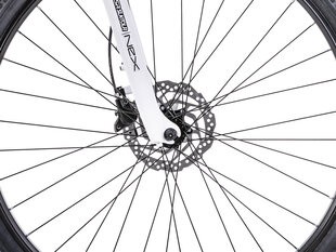 Гибридный велосипед Romet Orkan 4 D 28" 2023, серебристый цвет цена и информация | Велосипеды | kaup24.ee