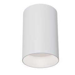 Технический потолочный светильник Maytoni Slim C014CL-01W, белый цена и информация | Потолочные светильники | kaup24.ee