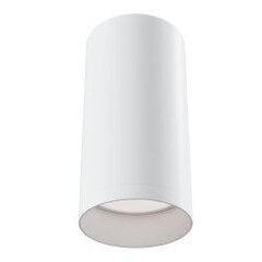 Maytoni Технический потолочный светильник Focus C010CL-01W Белый цена и информация | Потолочные светильники | kaup24.ee