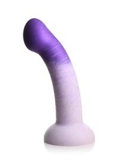 Искусственный пенис XR Brands G-Swirl для точки G, 16 см цена и информация | Фаллоимитаторы | kaup24.ee