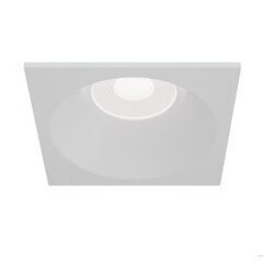 Maytoni Technical Downlight Zoom DL033-2-01W White цена и информация | Потолочные светильники | kaup24.ee