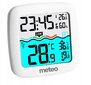 Juhtmevaba digitaalne basseini termomeeter Meteo TB2 цена и информация | Basseinitehnika | kaup24.ee