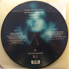 David Bowie - In The Beginning, Picture Disc, LP, vinüülplaat, 12" vinyl record hind ja info | Vinüülplaadid, CD, DVD | kaup24.ee