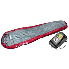 Спальный мешок Royokamp Camper, односпальный, серый цена и информация | Спальные мешки | kaup24.ee