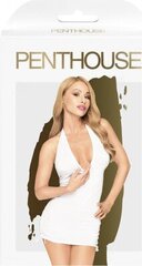 Сексуальный комплект нижнего белья PENTHOUSE EARTH SHAKER MINI DRESS - WHITE S/M цена и информация | Сексуальное женское белье | kaup24.ee