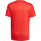 T-särk Adidas B Bl Tee Red GN1477 цена и информация | Poiste särgid | kaup24.ee