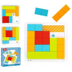 Деревянные кубики-головоломка Tooky Toy цена и информация | Развивающие игрушки | kaup24.ee