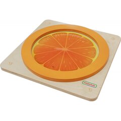 MASTERKIDZ Orange Sensoorne Haridusnukogu hind ja info | Arendavad mänguasjad | kaup24.ee