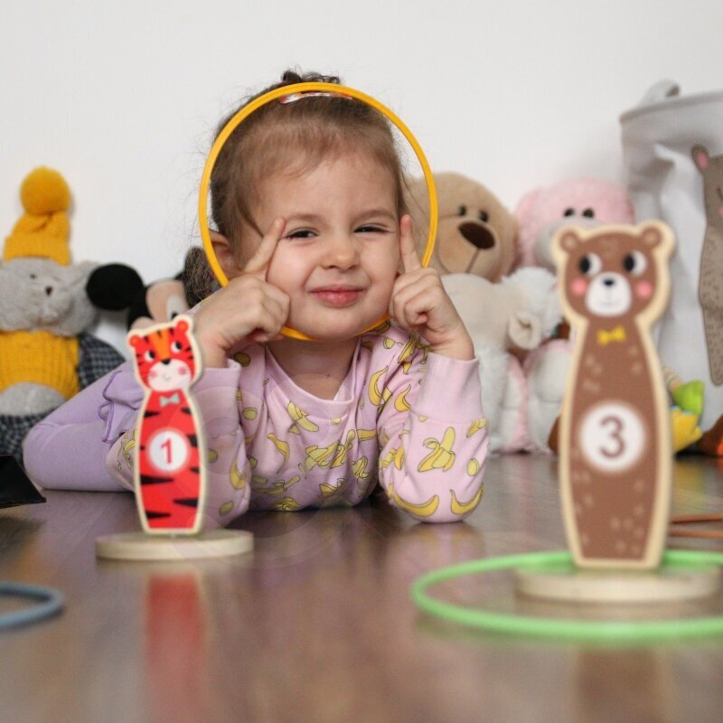 TOOKY TOY Puidust arkaadmng Toss Animals 15 el. hind ja info | Arendavad mänguasjad | kaup24.ee